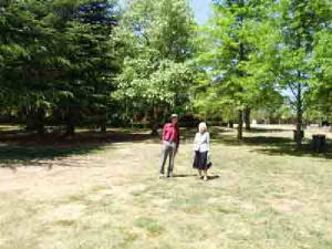 Lennox Garden proposed Multifaith Garden site A 